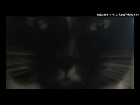 Dr Lektroluv vs Break 3000 - Discothèque