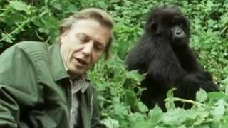 Sir David Attenborough - The story behind Life on Earth - BBC