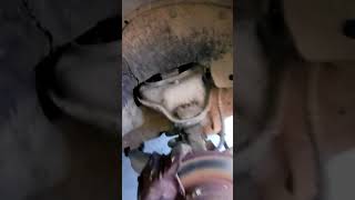 1992 dodge dakota crankshaft position sensor access