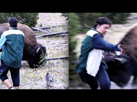 Stop Petting Wild Herbivores 