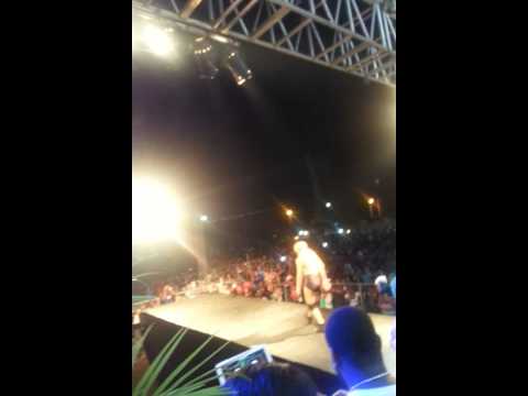 International Dancehall Queen 2015 contestant #2