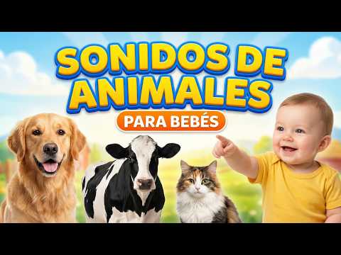 Sonidos de Animales para Bebés 🐶🐮 | Estimulación Auditiva con Sonidos Reales