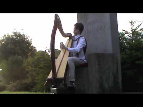 Fiachra - The King of The Fairies