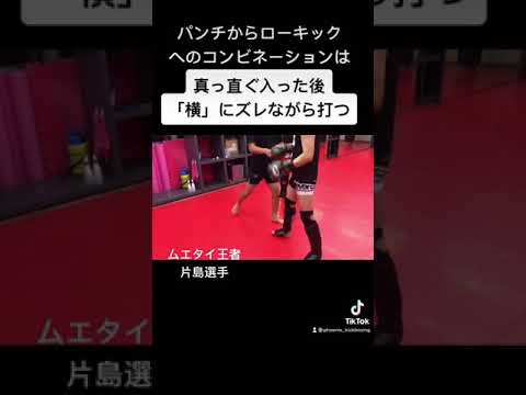 パンチからローへ繋げる際のポイント