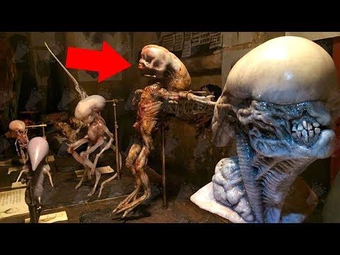 Let's explore DAVID'S LAB from ALIEN COVENANT...