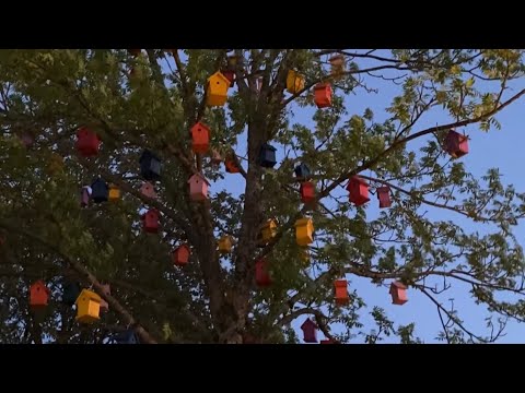 Sandefjord town in Vestfold 🇳🇴