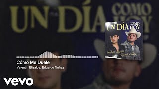 Valentín Elizalde, Edgardo Nuñez - Cómo Me Duele (Audio)