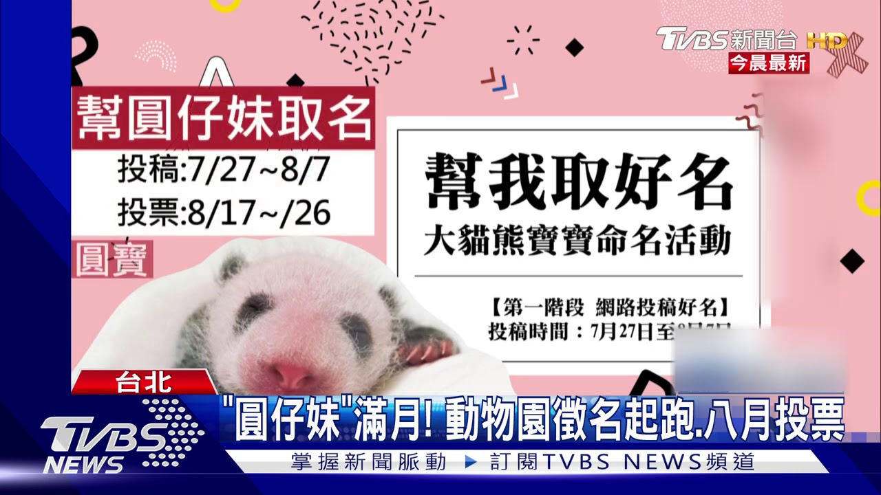 幫「圓仔妹」取名 湯圓、粉圓、甜不辣都上榜