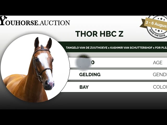 Thor HBC Z