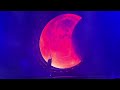 Exoplaneta - Arde Bogotá | Sonorama Ribera 2025