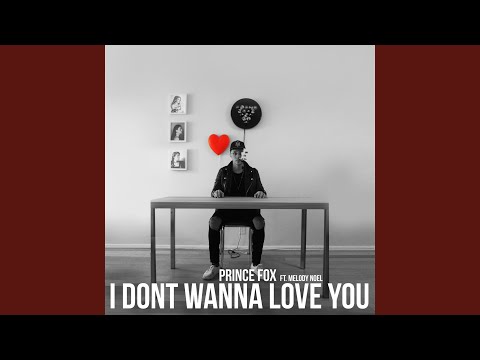 I Don't Wanna Love You