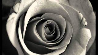 ROSA GRIS - Duncan Dhu