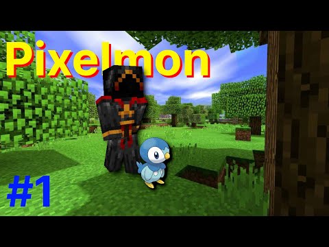 Gotta Catch 'em All! | Minecraft Pixelmon - Part 1