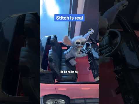 Stitch drives himself to the Lilo & Stitch press junket