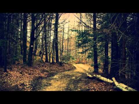 Agalloch - Dark Matter Gods