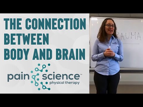 The Connection Between Body and Brain | Pain Science Physical Therapy