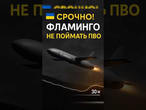 ⚡️Фламинго уходит ниже радаров