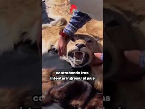 Resumen de noticias de Valparaíso [Agosto 2025 3/4] #noticias