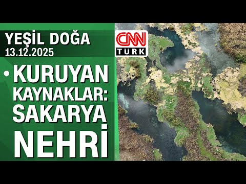 Drying-up water sources: Sakarya River - Green Nature, Saturday, December 13, 2025