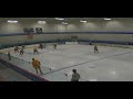 Hunter Anderson 19 Left Wing Yellow Team L A Jr Kings