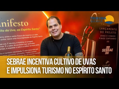 Sebrae incentiva cultivo de uvas e impulsiona turismo no Espírito Santo