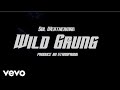 Sol Weatherman Wild Grung Official Audio
