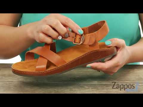 Chaco Wayfarer | Zappos.com