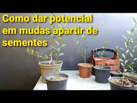 Movimento de Tronco - Dicas e Procedimentos