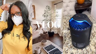 VLOG: NEW HOME DECOR / DIY / ORGANIZING / HOW TO GET RID OF GNATS #vlogs #homedecor #clean