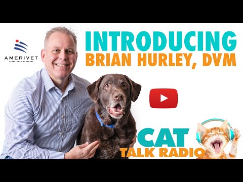 Introducing Brian Hurley, DVM to Cat Talk Radio
