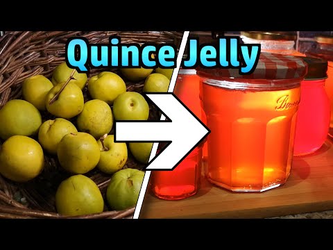Making Delicious Jelly from Japanese Quinces