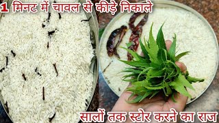 How To Store Rice।।चावल को कीड़ों से कैसे सुरक्षित रखें।। Safe Ways To Get Rid Of Worms In Rice।।