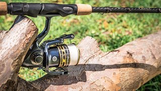 Pflueger President Spinning Reel Review: Perfect Fishing Companion?