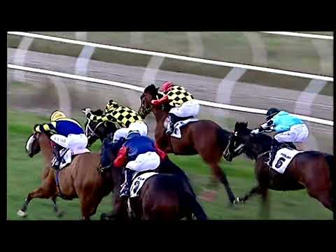 Napoli Galoppo 01/02/2022 - 4ª corsa