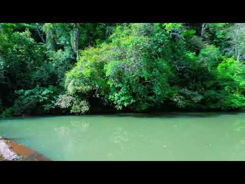Bosque municipal-salgado filho Paraná Brasil . Dji Neo
