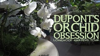DuPont's Orchid Obsession 03-09-16