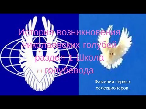 История возникновения николаевских голубей раздел 1 Школа голубевода