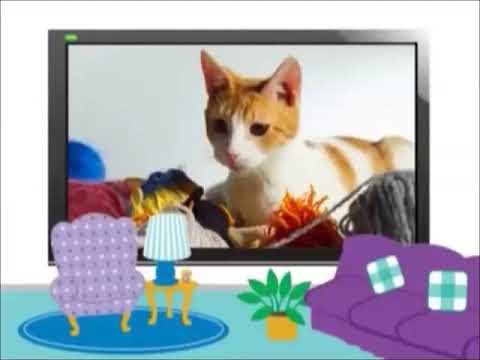 Jordan’s Sound Effects Compilation No.81:Sound Ideas, CAT - DOMESTIC: SINGLE MEOW, ANIMAL 02