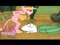 Pink Panther Panther Of The World 50 Minute Nature Compilation