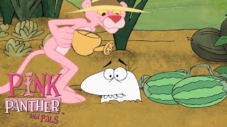 Pink Panther, Panther of the World! | 50 Minute Nature Compilation