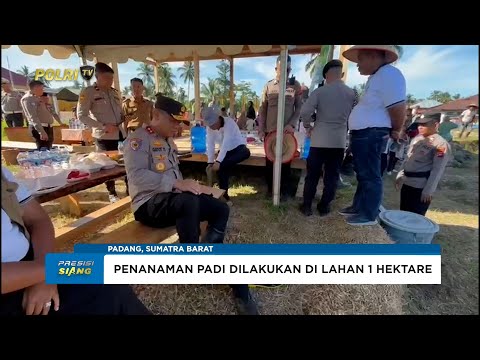 DUKUNG KETAHANAN PANGAN NASIONAL, POLDA SUMBAR GELAR BATAGAK KUDO-KUDO DAN TANAM PADI