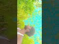 Kitna Pyara Pyara Hai Yah Samay Pyar Se Dil Ki Dhadkan 4K HD Video Song Remix DJ