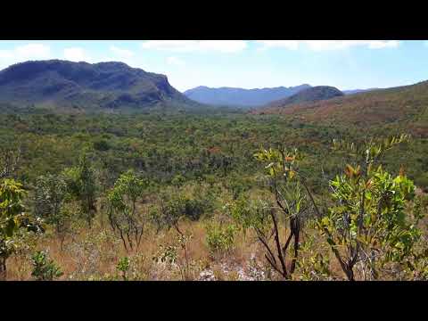Fazenda 100 Alqueires GOIÁS - R$ 610.000 - Reserva Legal, Compensaçao Ambiental ou Abertura-484 ha