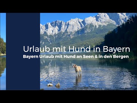 Urlaub mit Hund in Bayern ‑ Bayern Urlaub mit Hund an Seen und in den Bergen.