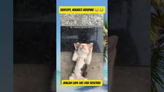 Download lagu Santai kawann 🤣 #viral #music #cat #funny #cat #catvideos #memesvideo #viral #vidiolucu #fyp mp3 Download lagu Santai kawann 🤣 #viral #music #cat #funny #cat #catvideos #memesvideo #viral #vidiolucu #fyp mp3