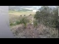 Thalles Roberto Wmv