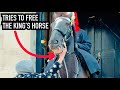 Grabs Royal Guard Horse to FREE it! | Horse Guards, Royal guard, Kings Guard, Horse, London, 2024