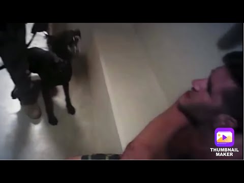 COPS LET DOG BITE HANDCUFFED MAN FOR 3 Min | Excessive Force