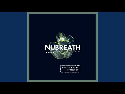 Bitrate & PL-81 - Station (Original Mix)