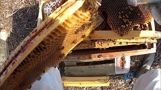 hive manipulation